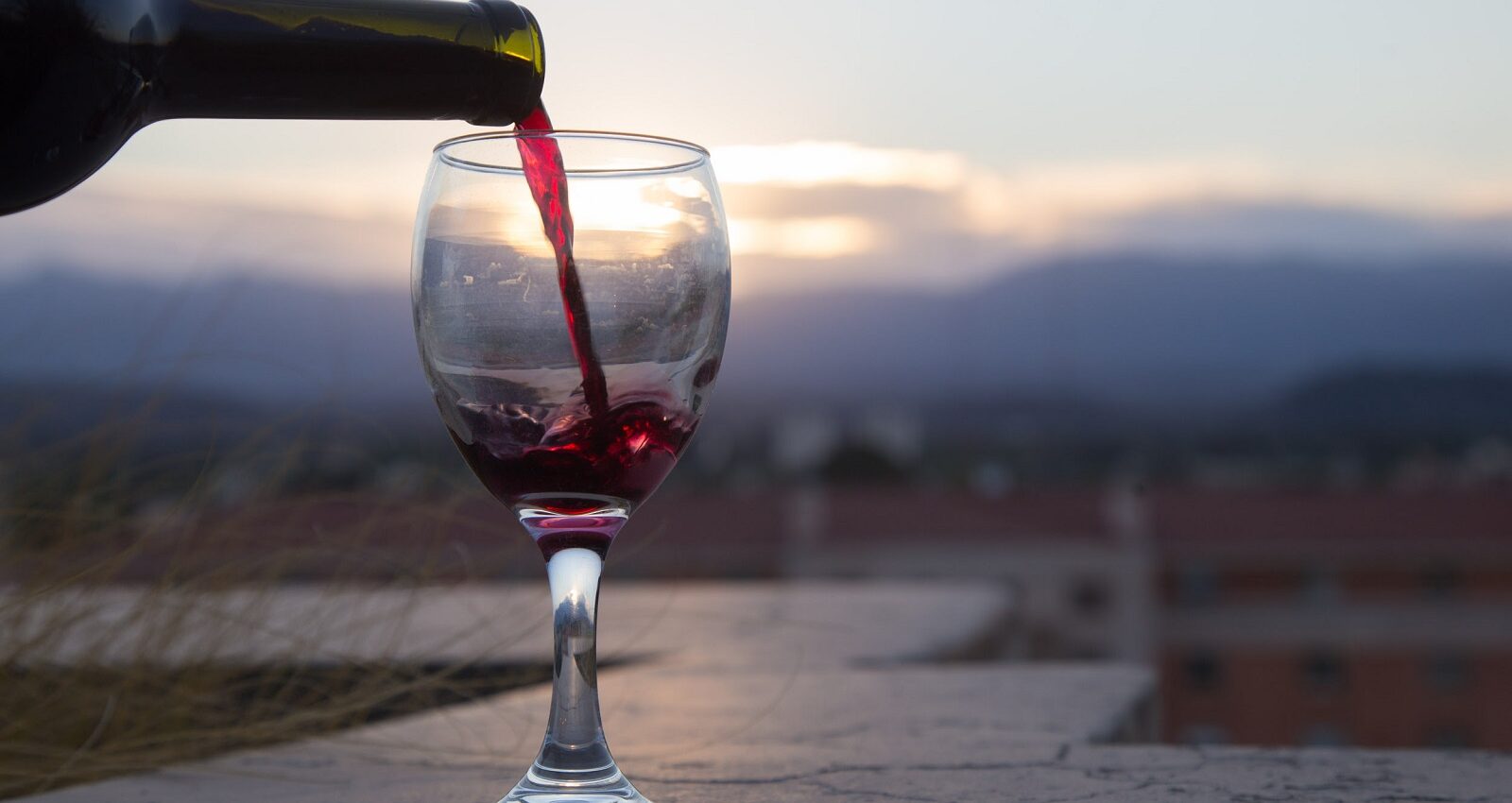 vinos Ley Ómnibus retenciones sello Vitivinicultura exportaciones mendocinas