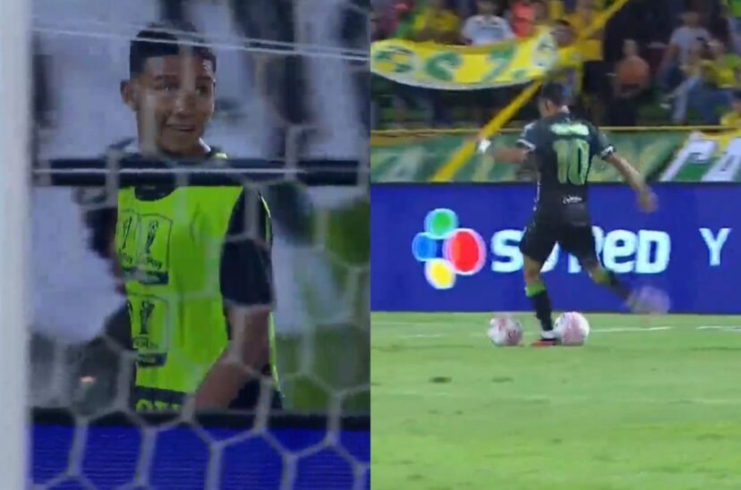 alcanzapelotas