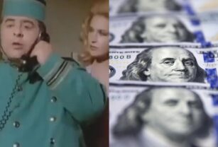 dolar porcel
