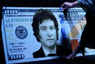 Milei dólar