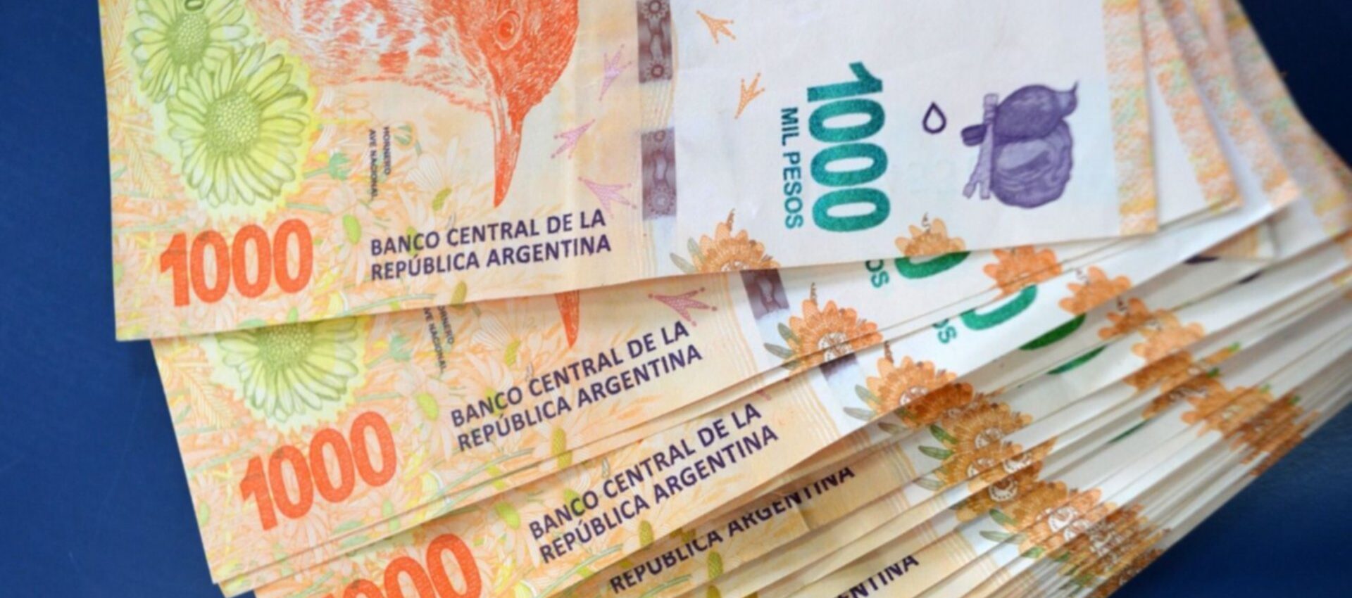 anses ife