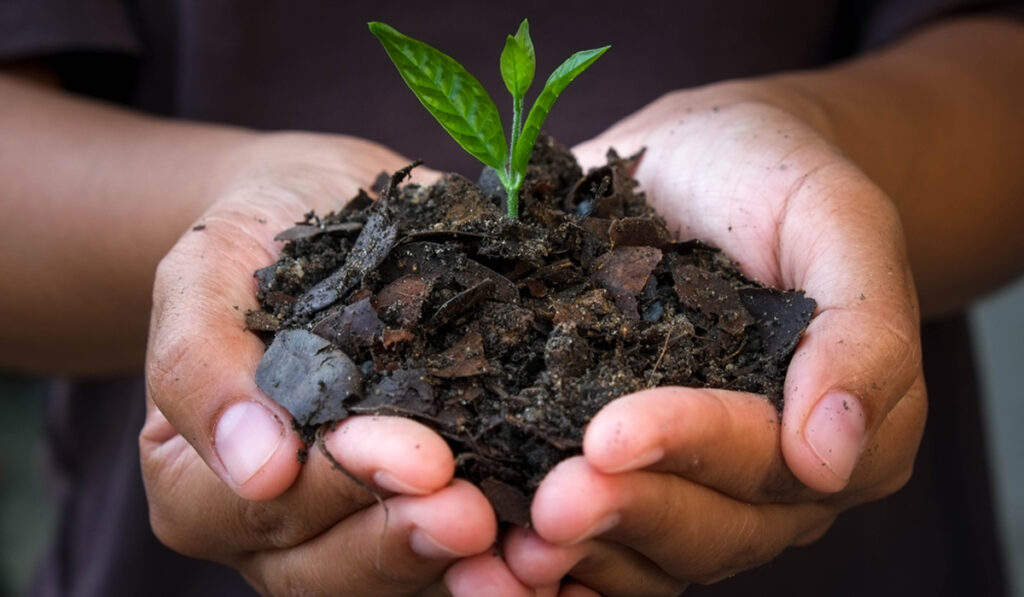 bioinsumos productos biológicos tierra fértil soluciones biológicas