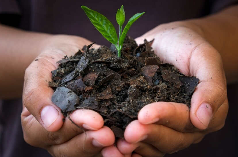 bioinsumos productos biológicos tierra fértil soluciones biológicas