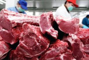 carne vacuna argentina certificación consumo