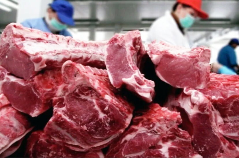 carne vacuna argentina certificación consumo