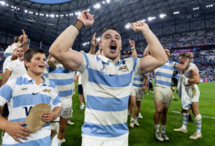 los pumas