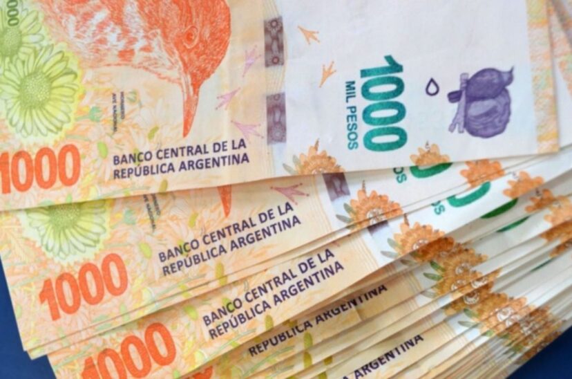 nuevo ife anses