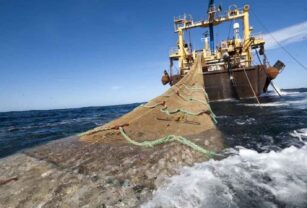 Pesca de arrastre