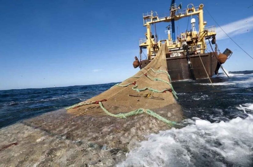 Pesca de arrastre