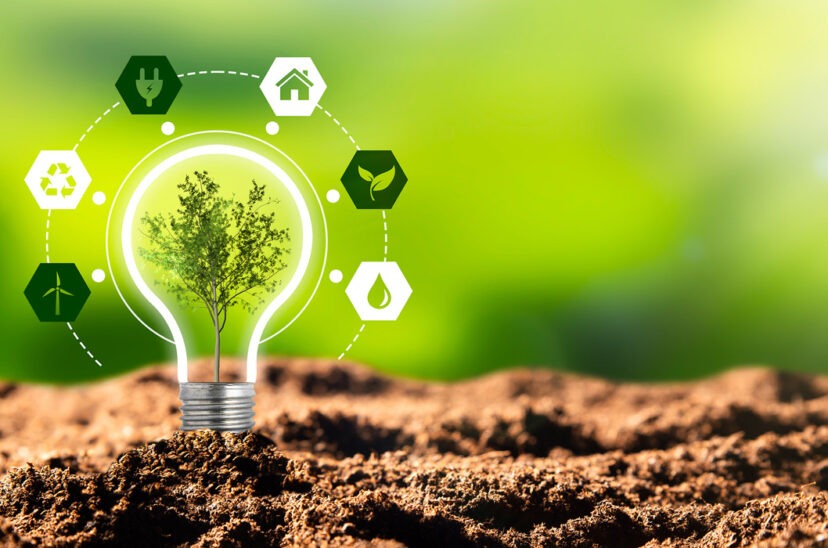 sustentabilidad e innovación