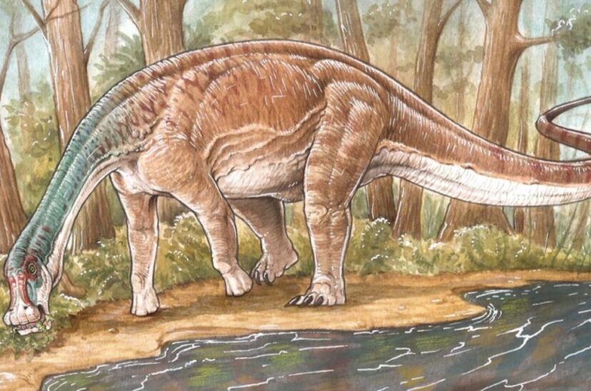 Dinosaurio Conicet