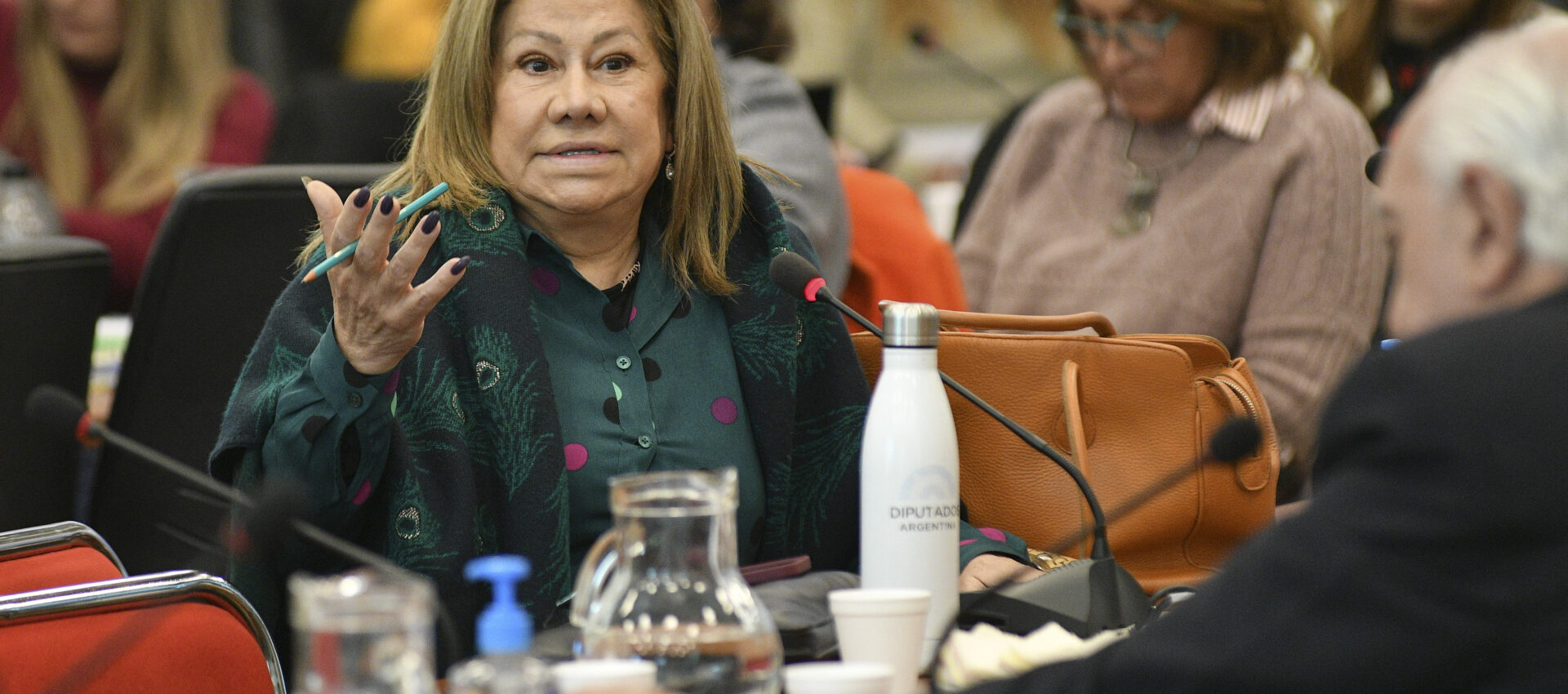 Graciela Camaño
