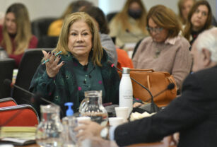 Graciela Camaño