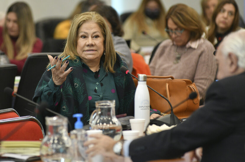 Graciela Camaño