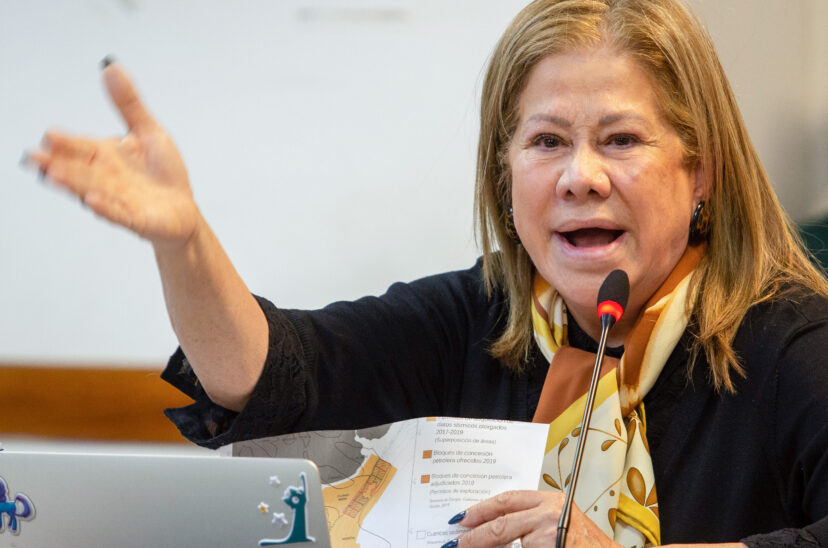 Graciela Camaño