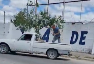 Hombre huevos de gallina Puerto Madryn