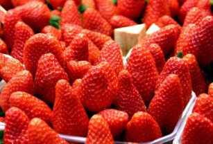 conservar frutillas duren meses