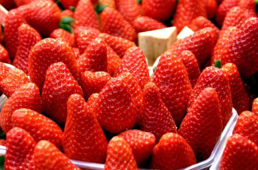 conservar frutillas duren meses