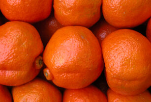cítricos dulces mandarina ecuador