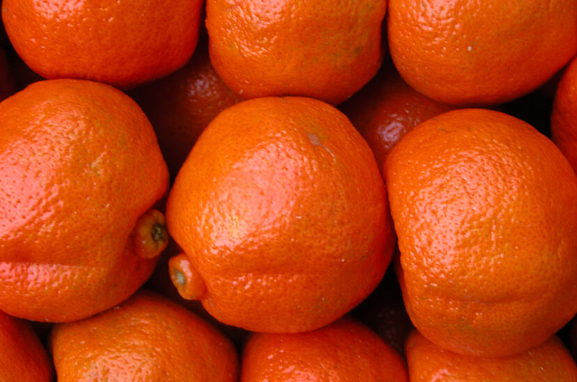 cítricos dulces mandarina ecuador