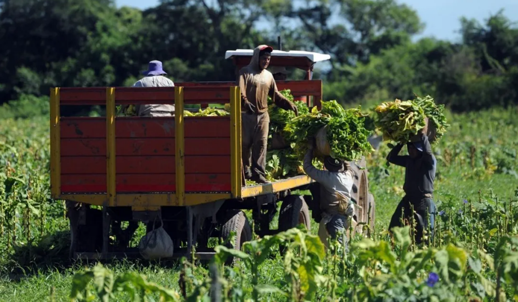 trabajadores rurales