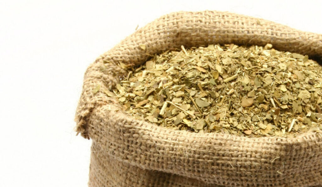yerba mate argentina