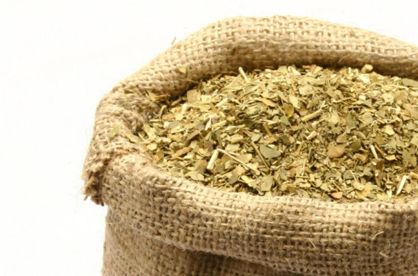 yerba mate argentina