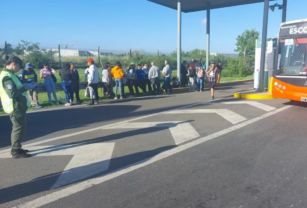 movilización