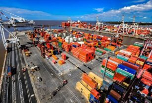 SEDI importaciones