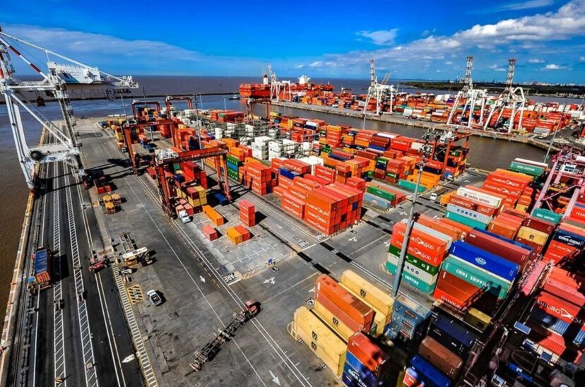 SEDI importaciones