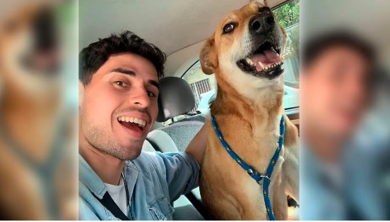 app perritos