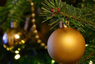 cuenta DNI adornos navideños