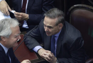 pichetto diputados