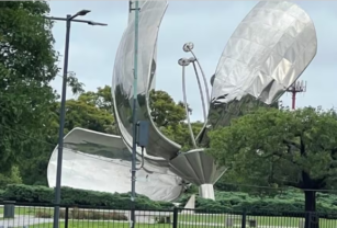 floralis caída