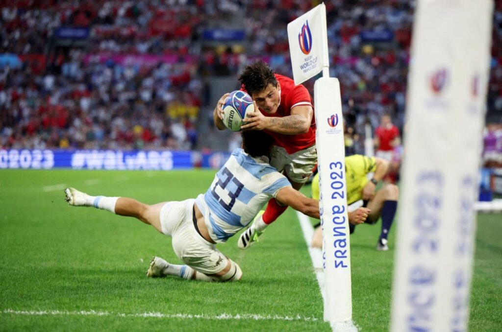 los pumas