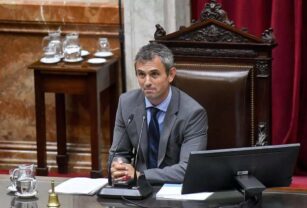 pauta diputados