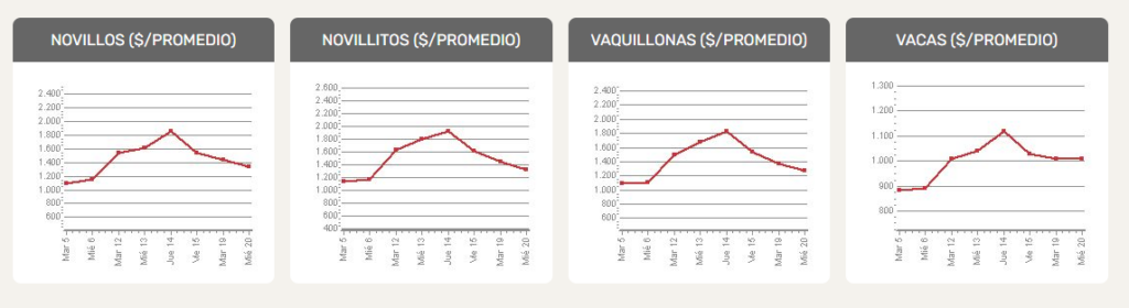 precios MAG 201223