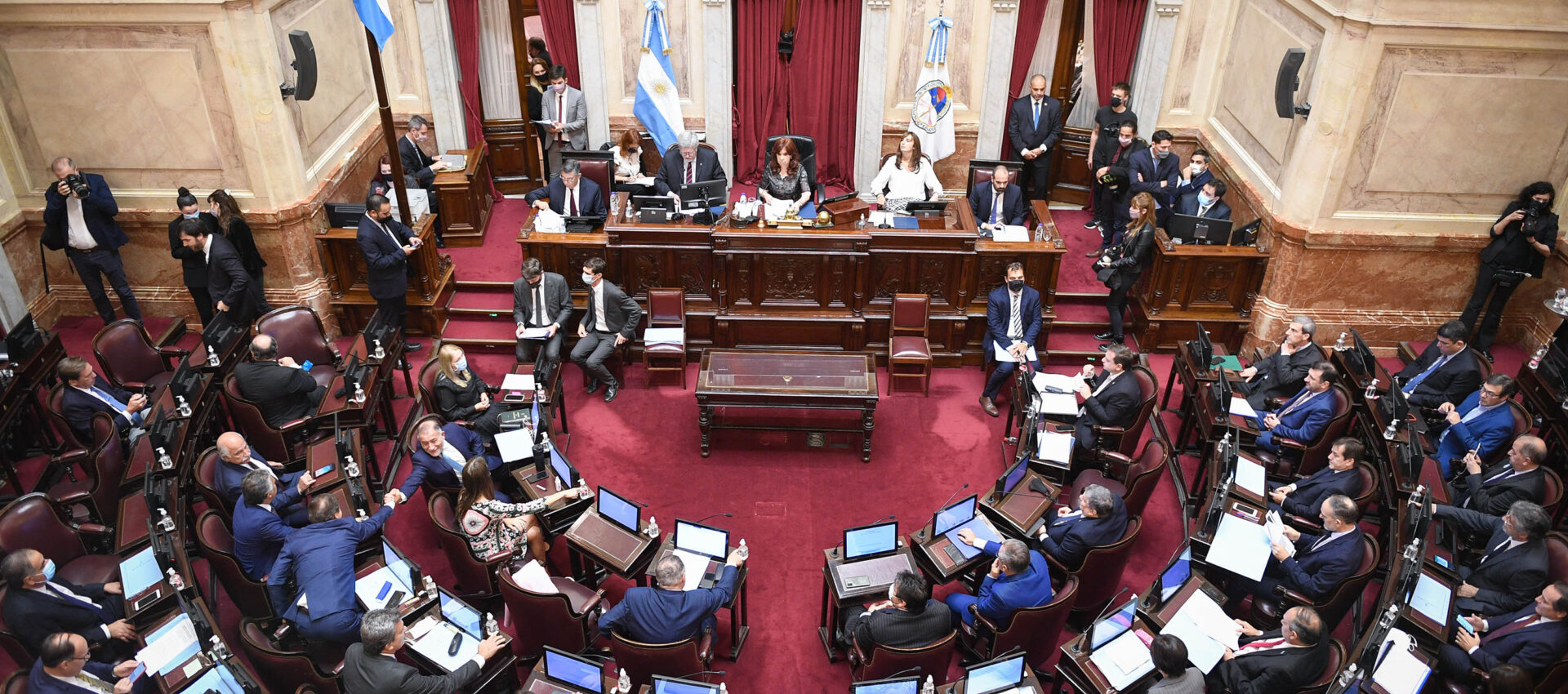 senadores DNU