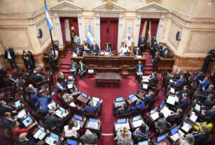 senadores DNU