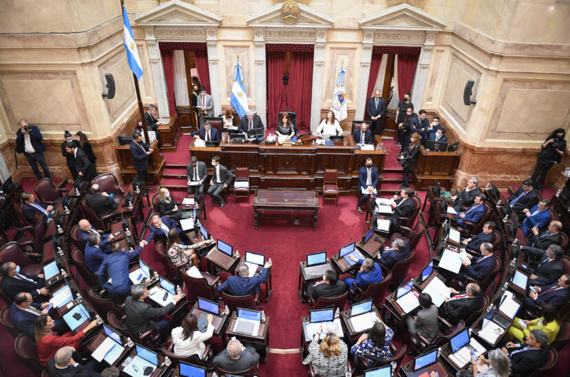 senadores DNU
