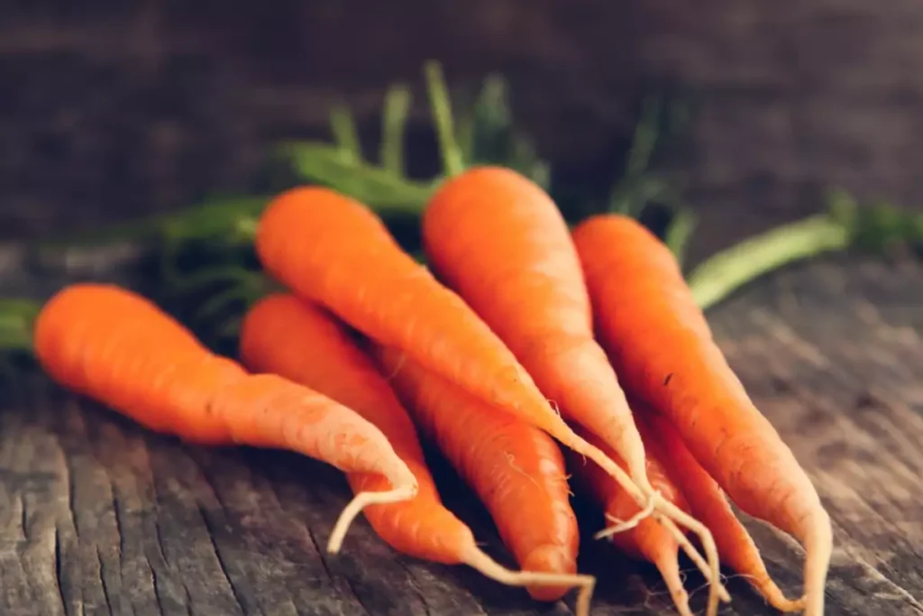 zanahorias