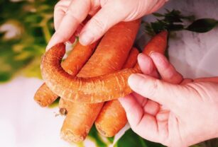 zanahorias