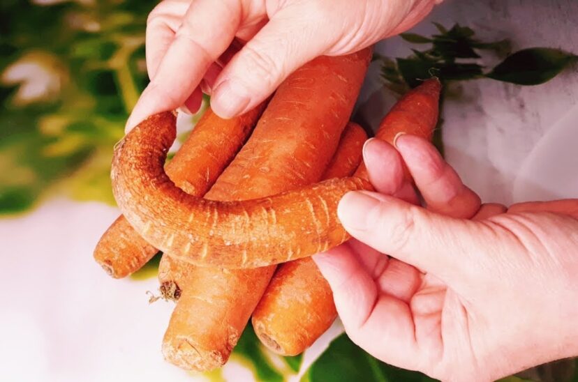 zanahorias