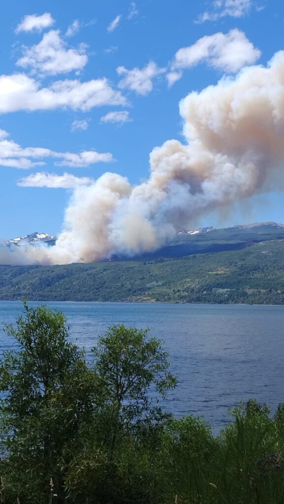 Incendio forestal en Los Alerces.