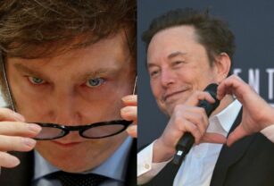 elon musk milei