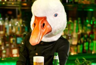 Goose Island Lager