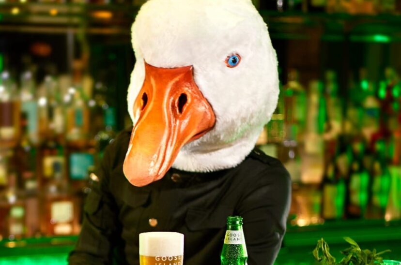 Goose Island Lager