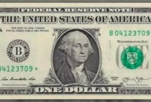 billete dólar
