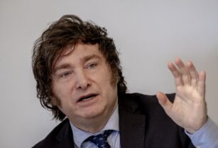 Milei estrategia