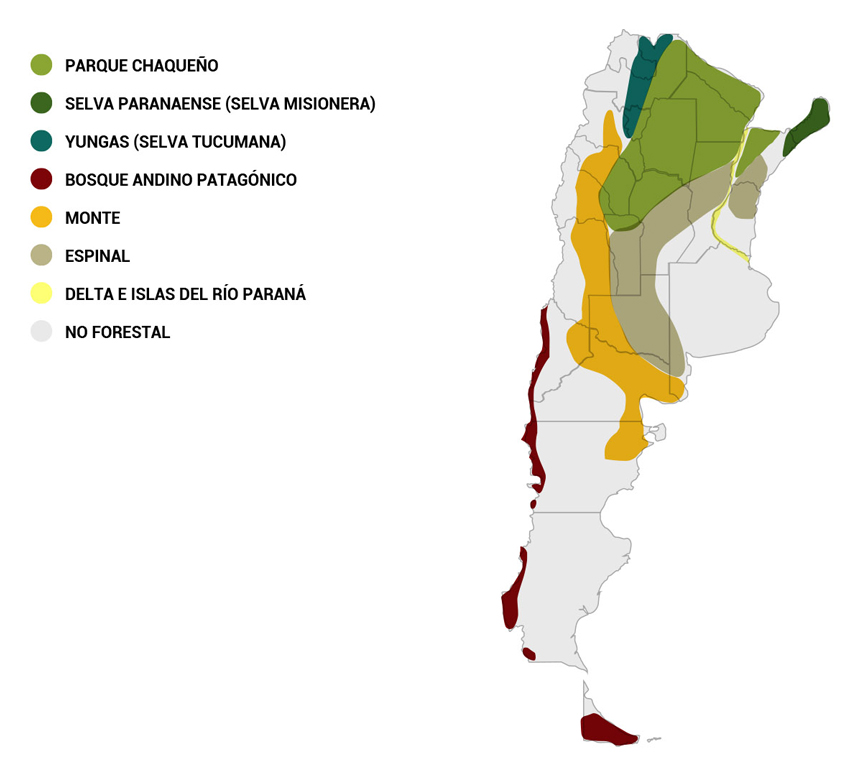 Áreas con bosque nativo, protegido por la Ley de Bosques. - (Ley ómnibus)